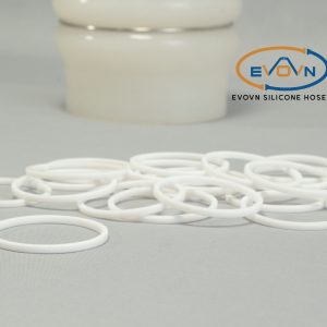 GASKET EVOVN PTFE THỰC PHẨM FDA